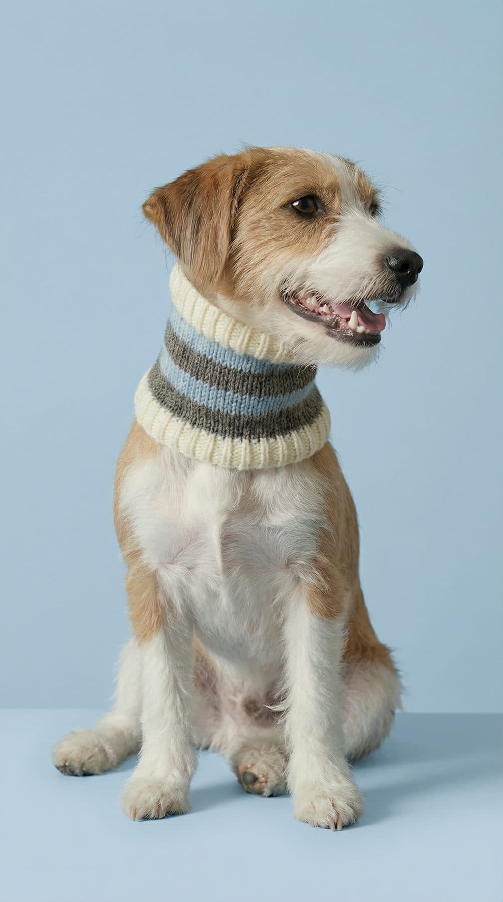 Cuello tejido
