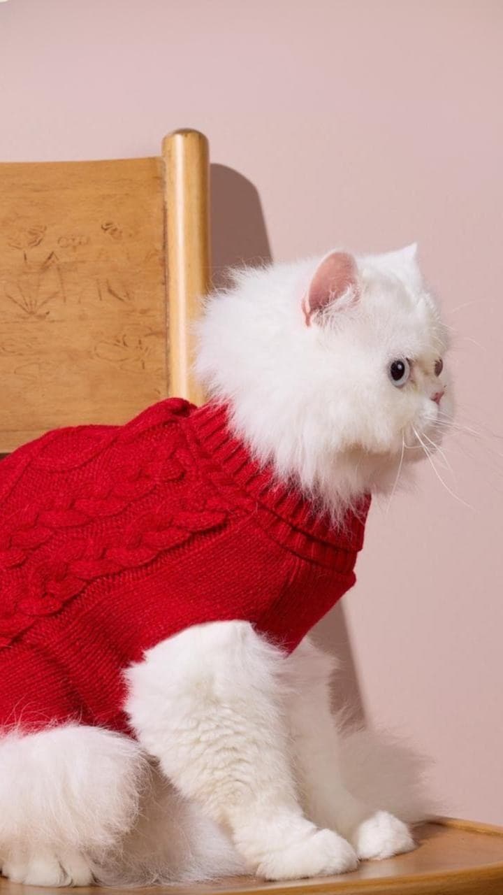 Rubí Sweater — MIJO by Club